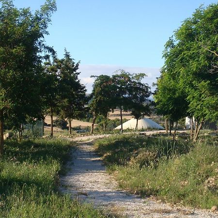 Campo De Reyes Hotel Tafalla Ngoại thất bức ảnh
